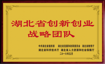 雙創(chuàng)戰(zhàn)略